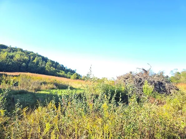 Ellison Ridge Rd, Jumping Branch, WV 25969