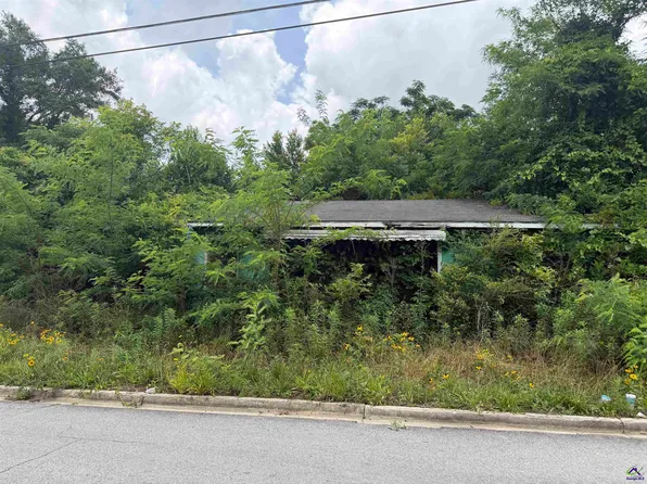 5553 Norman St, Eastman, GA 31023