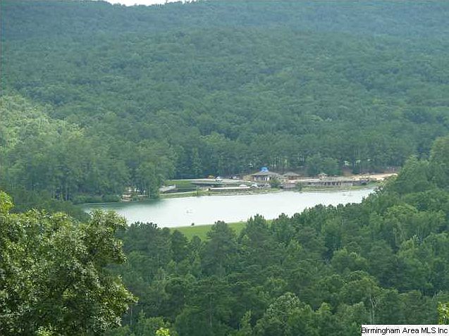 2nd image of 1171 Stagg Run Trl