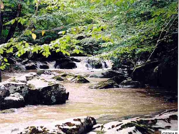 4th image of 4371 Indian Camp Creek Rd
