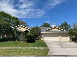 16338 Birkdale Dr, Odessa, FL 33556