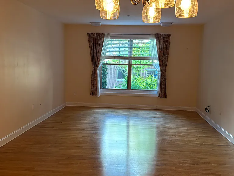 248 Albion St #312 — Photo 8