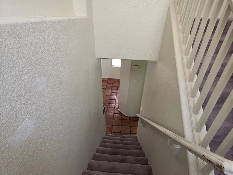 2506 Lady Elizabeth Ct — Photo 34
