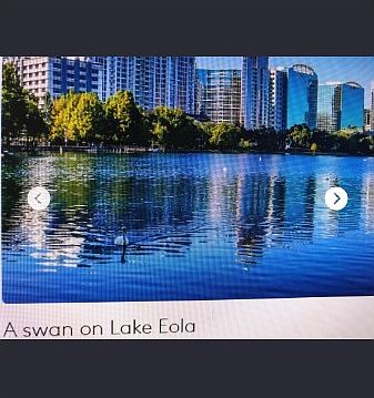 Farmers Market every weekend only one block to Lake Eola Park