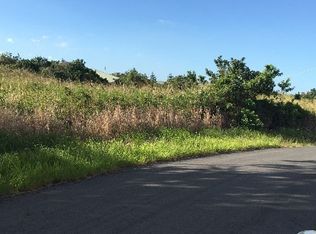 Kilo Moana Pl LOT 35, Naalehu, HI 96772