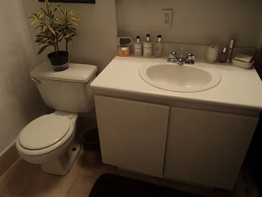 Rented by Sky Management | media 35