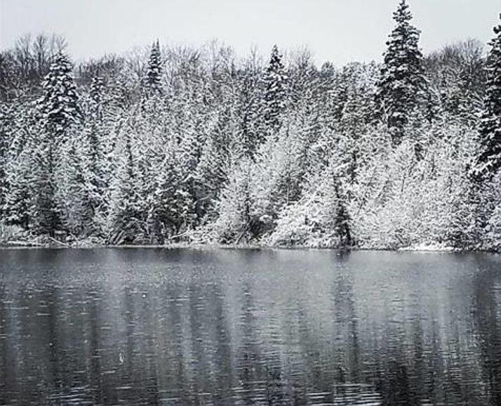 1st image of Laurel Lake Trl