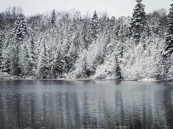 Laurel Lake Trl, Newberry, MI 49868