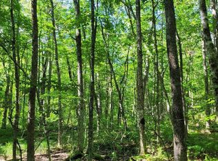 LOT 7 Belvidere Rd, Sarona, WI 54870