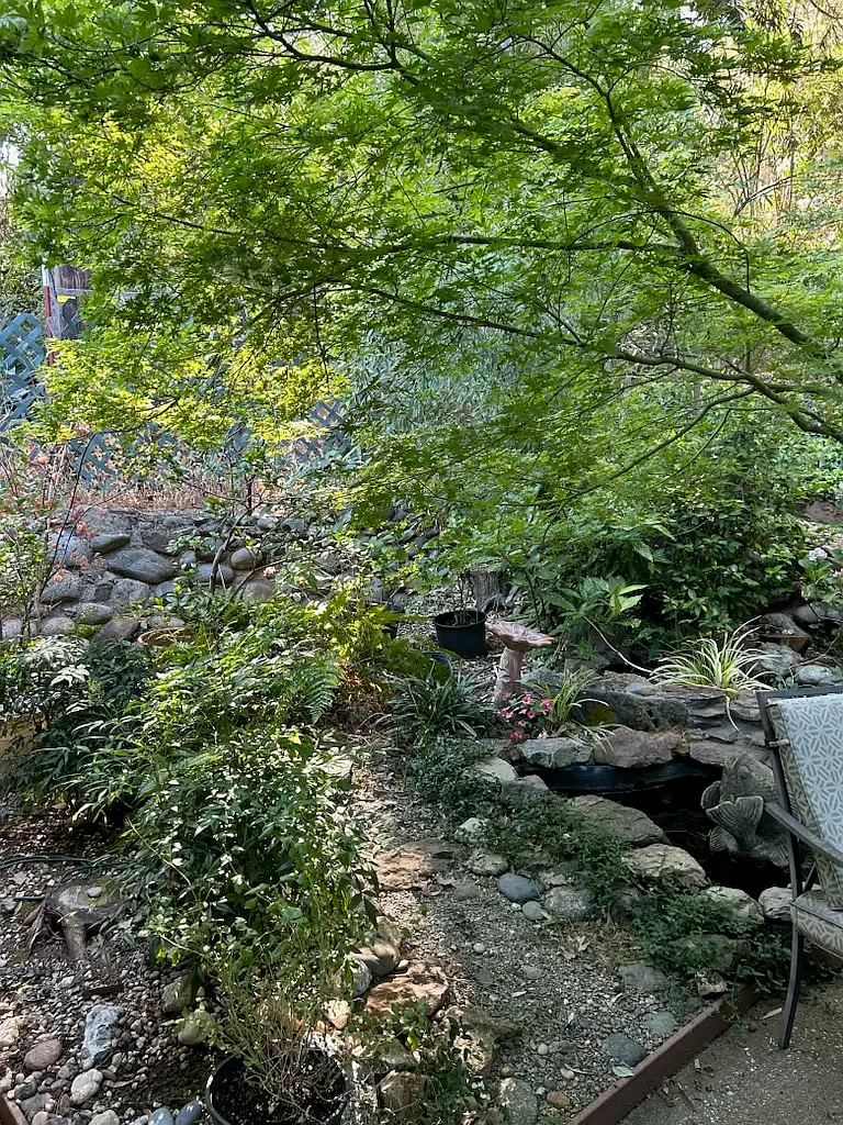 1 bed, 500 sqft, $1,397 — Photo 4