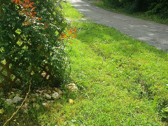 5th image of 124 Pleasant Ln