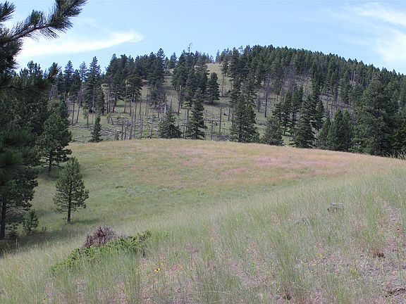 5th image of 2050 Colorado Gulch Dr
