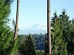 Mt Rainier View