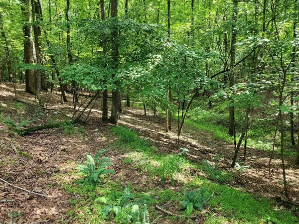 0 Oneida Cir, Ellijay, GA 30540