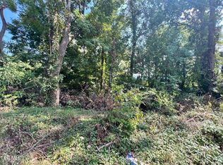 Tbd Siam Rd, Elizabethton, TN 37643