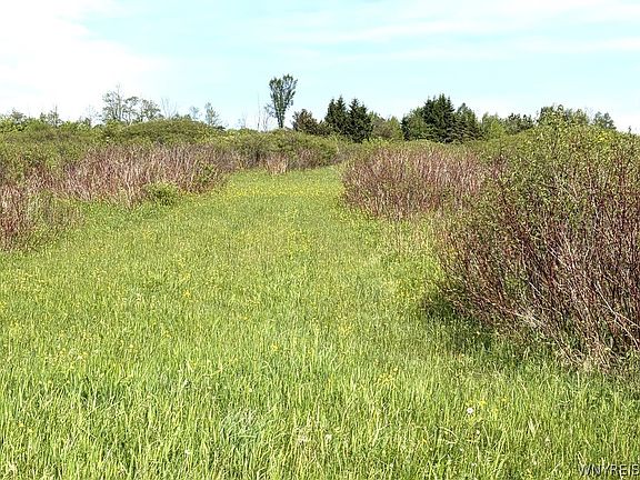 3rd image of 0 Stinson Rd Lot 45