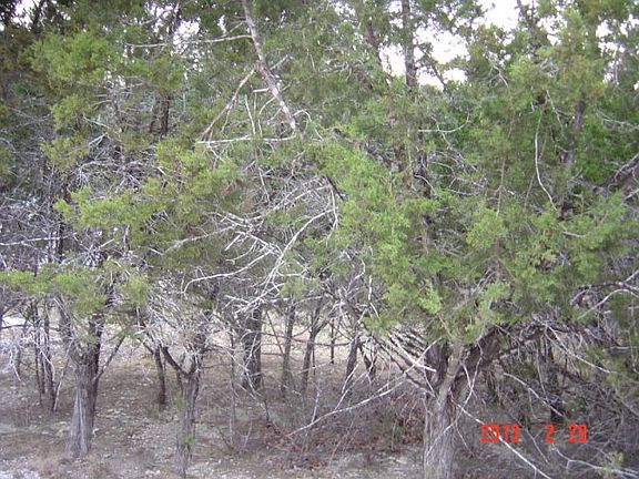2nd image of 2658 Waterfront Park Dr