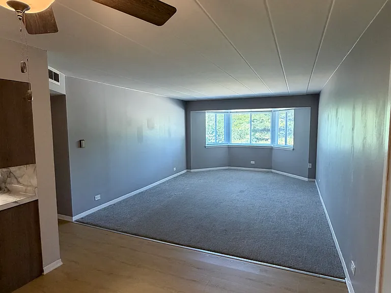 300 S Roselle Rd #206 — Photo 8