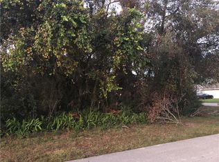 592 Spreading Oak Ave, Deltona, FL 32738