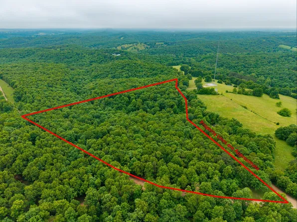 000 Co Rd 519 #Tract 3, Hardenville, MO 65666
