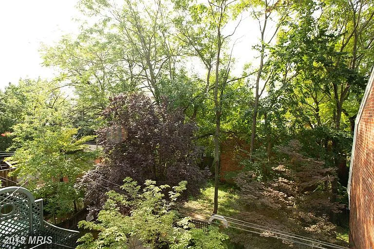 3044 R St NW #2 — Photo 14