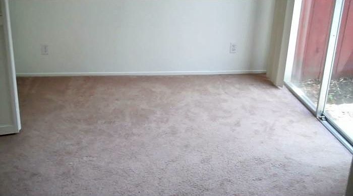 2nd image of 464 Stinson Ave
