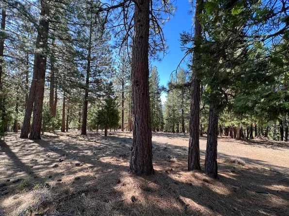 69691 Chippy Ln, Blairsden Graeagle, CA 96103