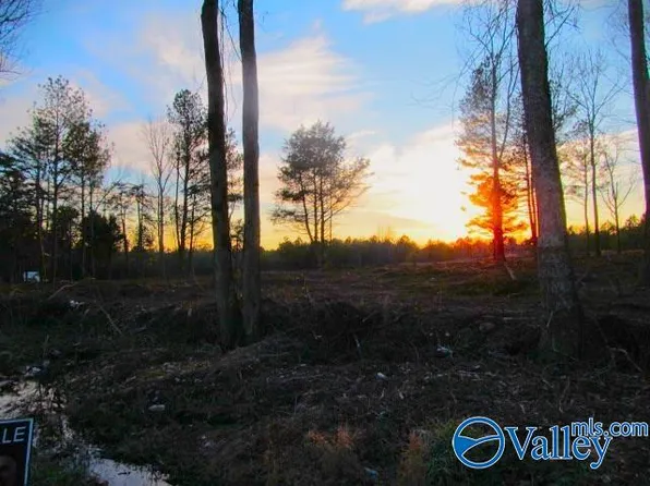 5 Razorback Way, Albertville, AL 35951