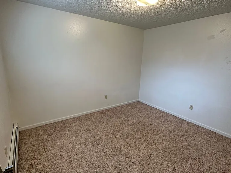 4735 Mountain Rd — Photo 5