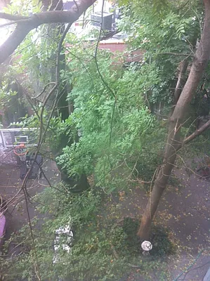 Rented by Downtown Realty Group LTD | media 29