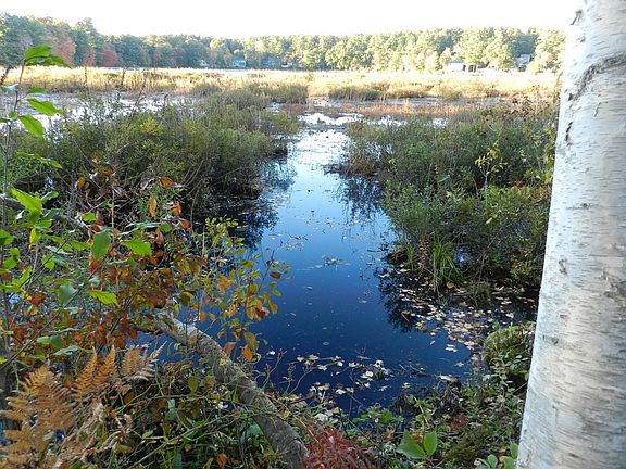 2nd image of 52 Sandy Pond Rd