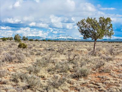 1462 Red Butte Rd, Williams, AZ, 86046