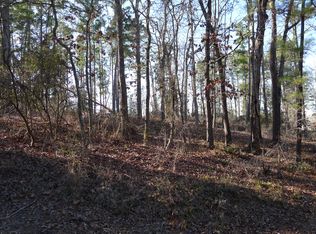 Lot #10 Acr 330, Palestine, TX