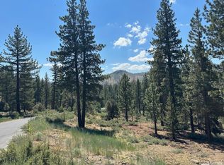 2 Raymond View Rd, Markleeville, CA 96120