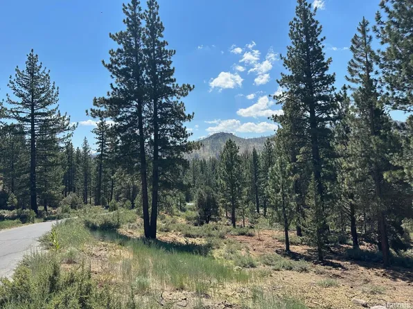 2 Raymond View Rd, Markleeville, CA 96120