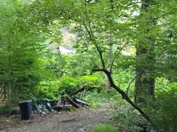 1458 State Forest Rd, Townshend, VT 05353