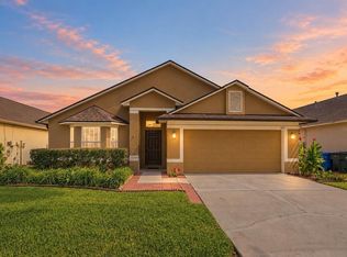 1123 Lumsden Pointe Blvd, Valrico, FL 33594