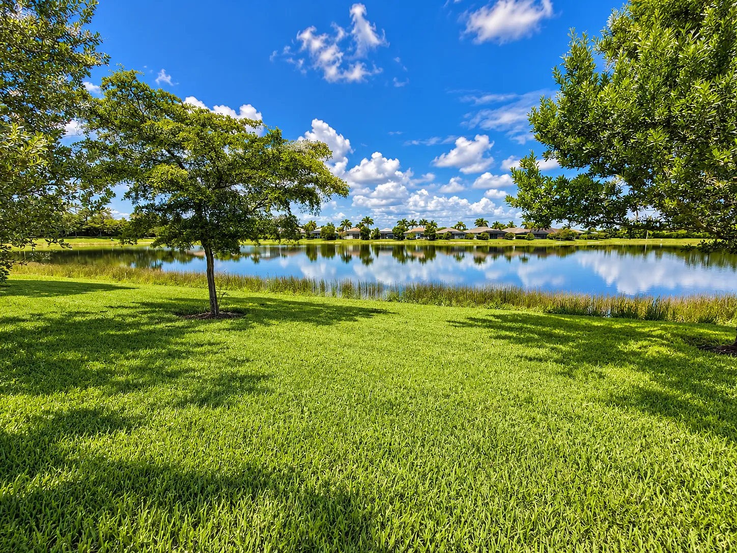 2 bed, 1515 sqft, $5,000 — Photo 4