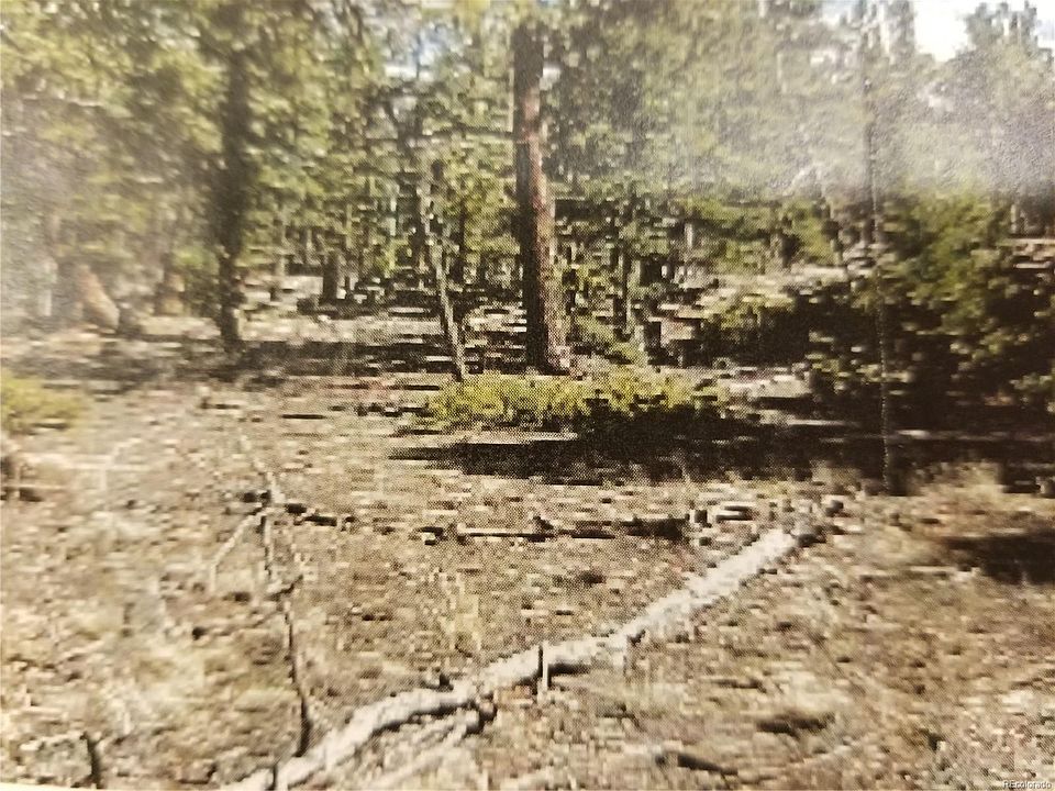 2nd image of 2054 Blacksmith Rd