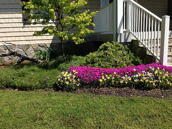 2nd image of 3052 Falmouth Dr