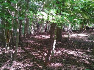 LOT 53 Ridgeway Ct, Moneta, VA 24121