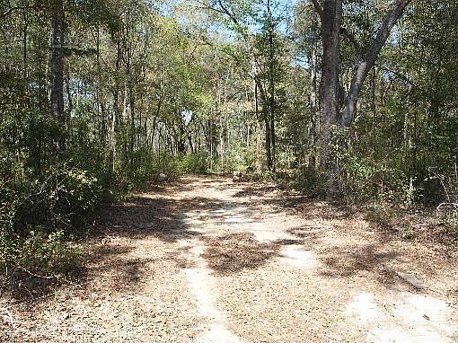 3rd image of 289 E Buckhorn Trl