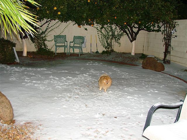 Snow in Mesa, Az