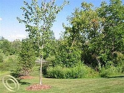 2nd image of 2929 Cottonwood Dr