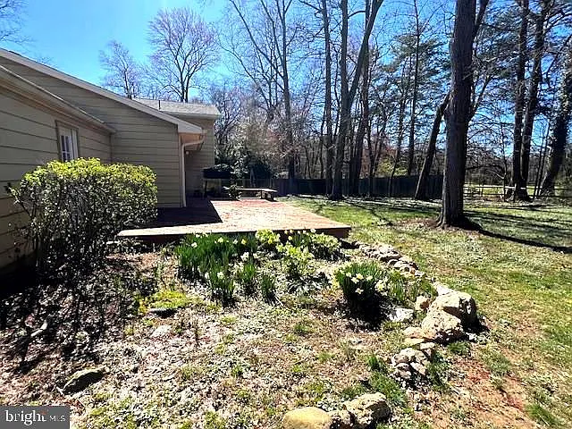 8523 Tysons Ct — Photo 19