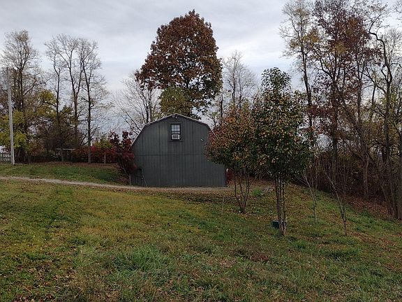 large yard with fruit trees for your enjoyment in season