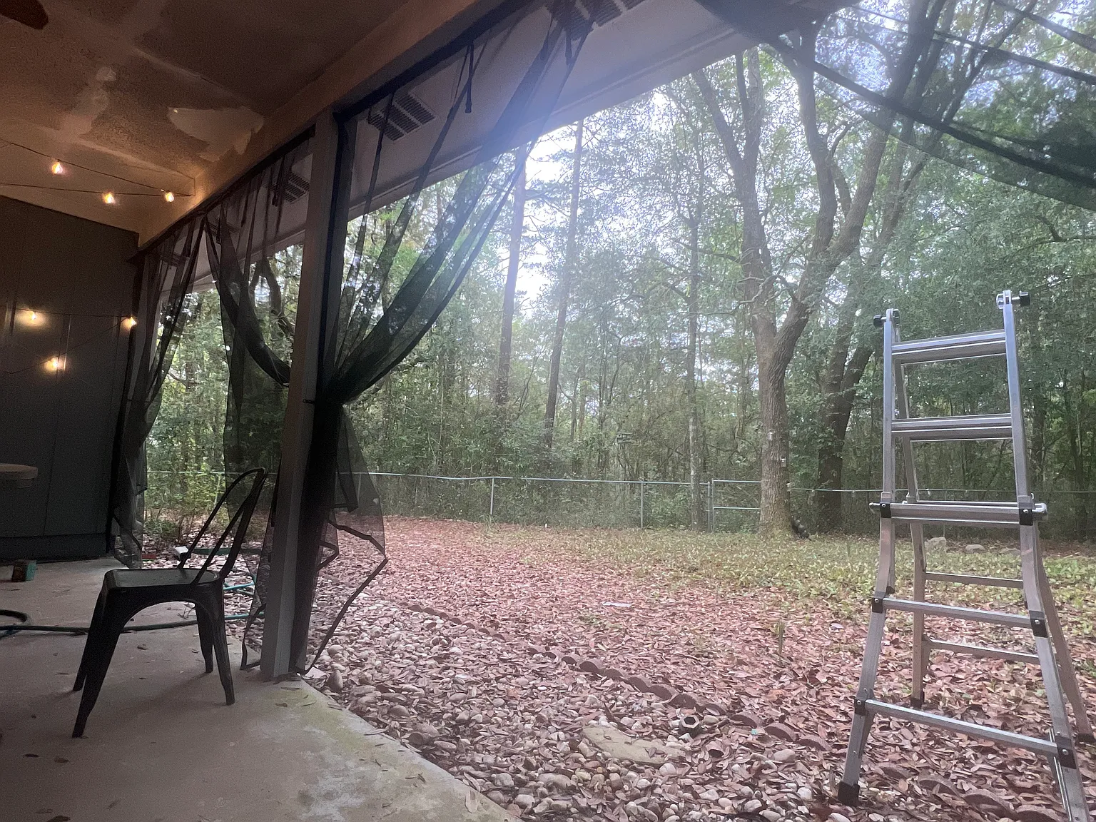 3 bed, 1200 sqft, $2,000 — Photo 3