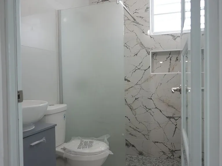Bo Cotto Calle Apolonio Velez PR 113 — Photo 22