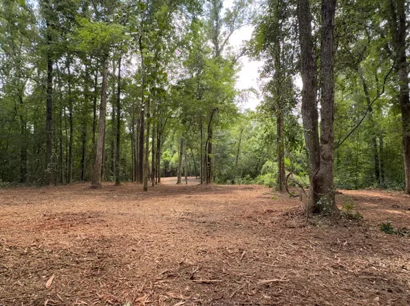 TRACT Scott Barr Rd #X, Slaughter, LA 70777
