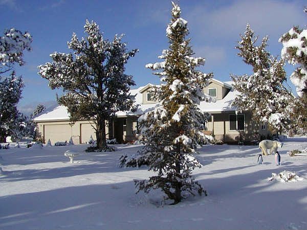 WINTER SCENE